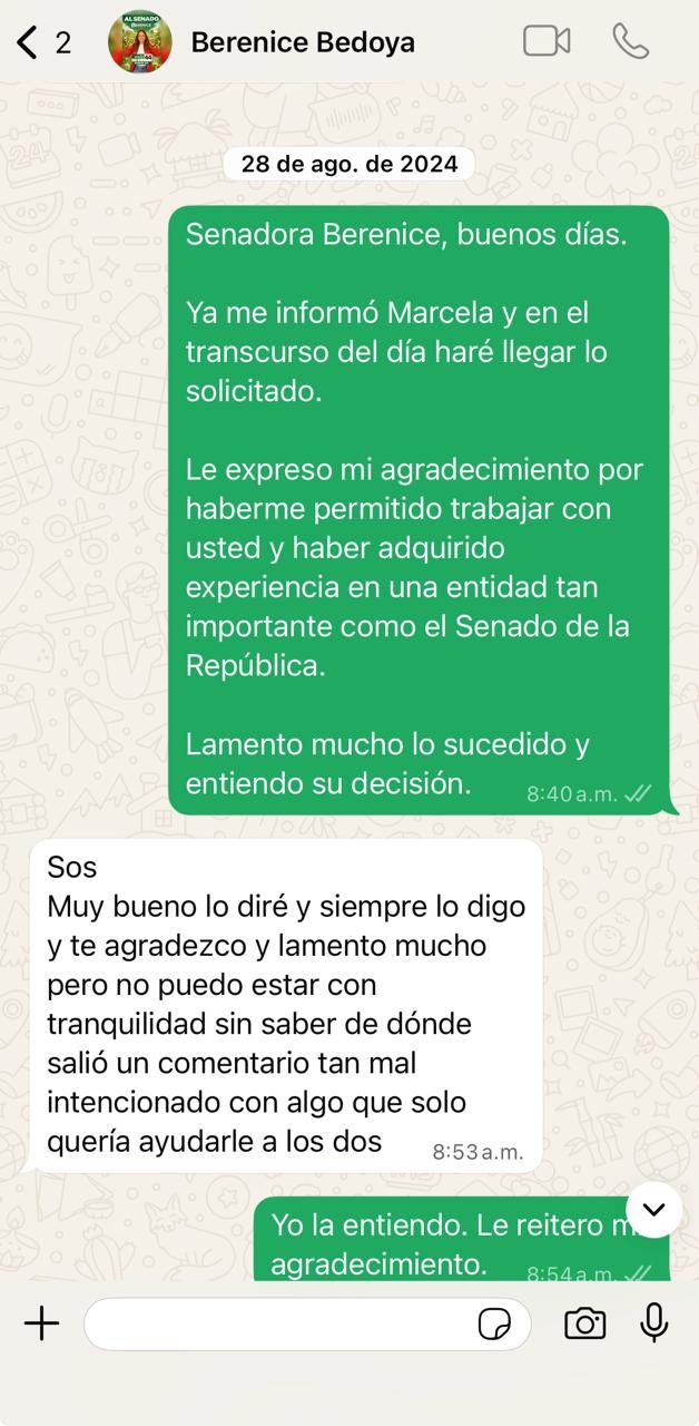 Chat 2 caso Berenice Bedoya