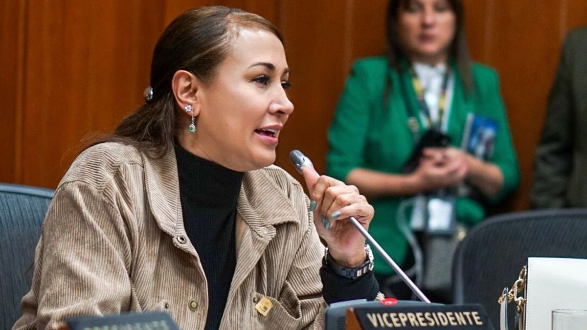 Berenice Bedoya, senadora Partido ASI