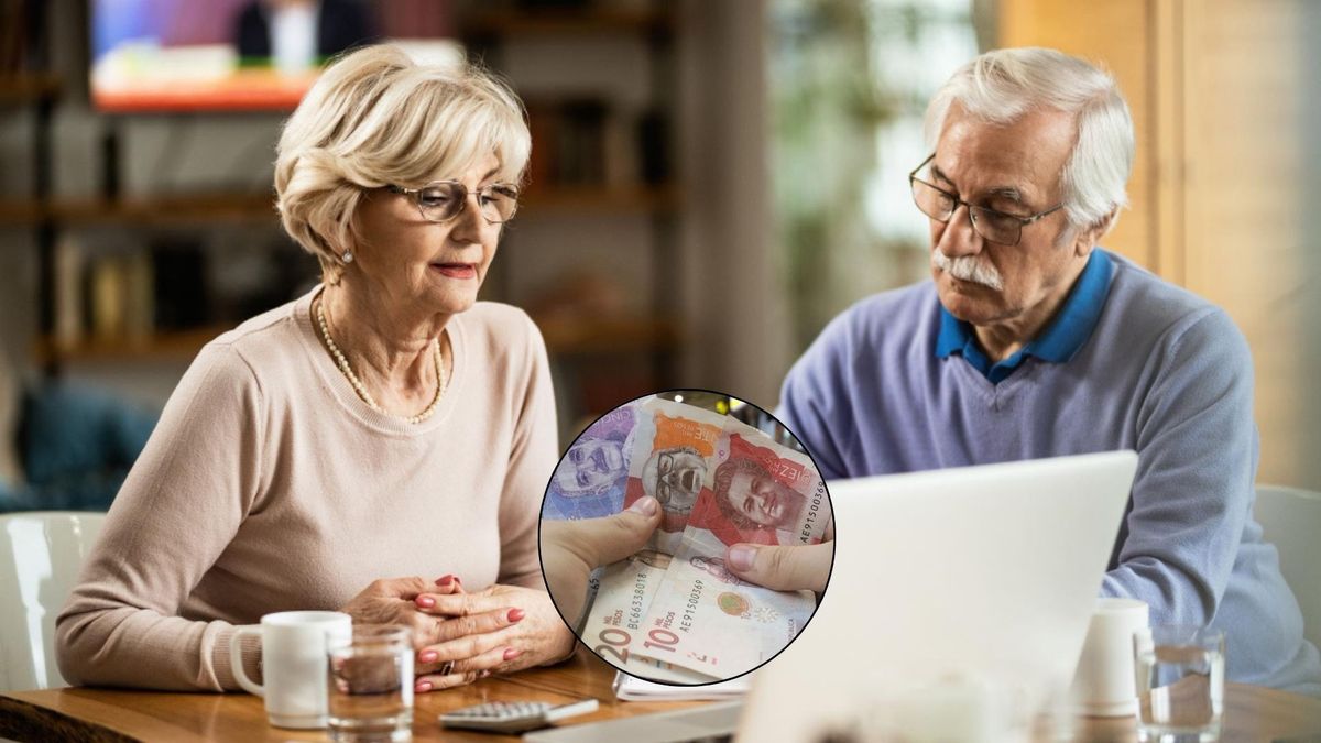 En el Régimen de Ahorro Individual, que está gestionado por fondos privados bajo la supervisión de la Superintendencia Financiera de Colombia, el pago depende del capital que se tiene acumulado.