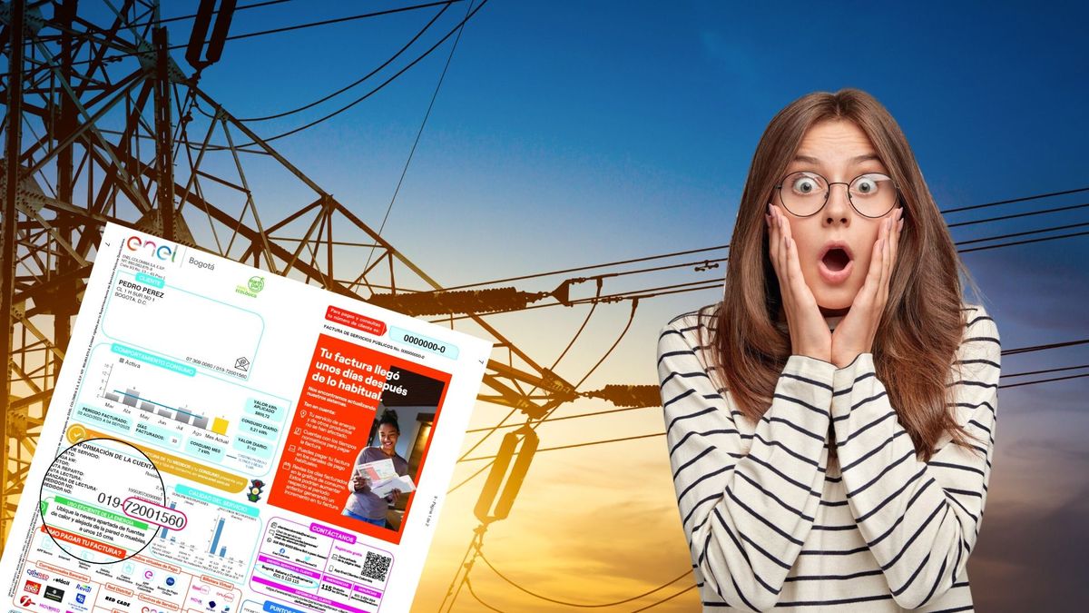 Factura de Enel