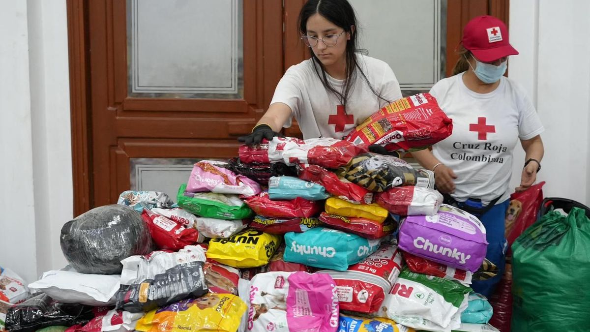 Ayudas para los animales