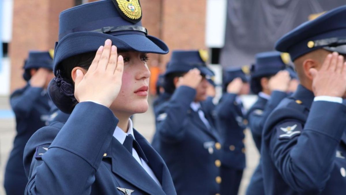 La convocatoria contempla la entrada de colombianos con o sin título profesional.