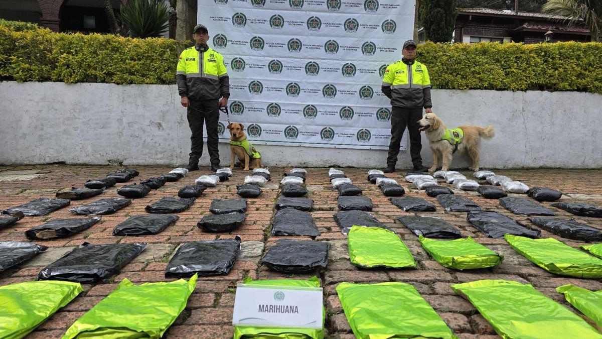 Decomiso de marihuana en Bogotá