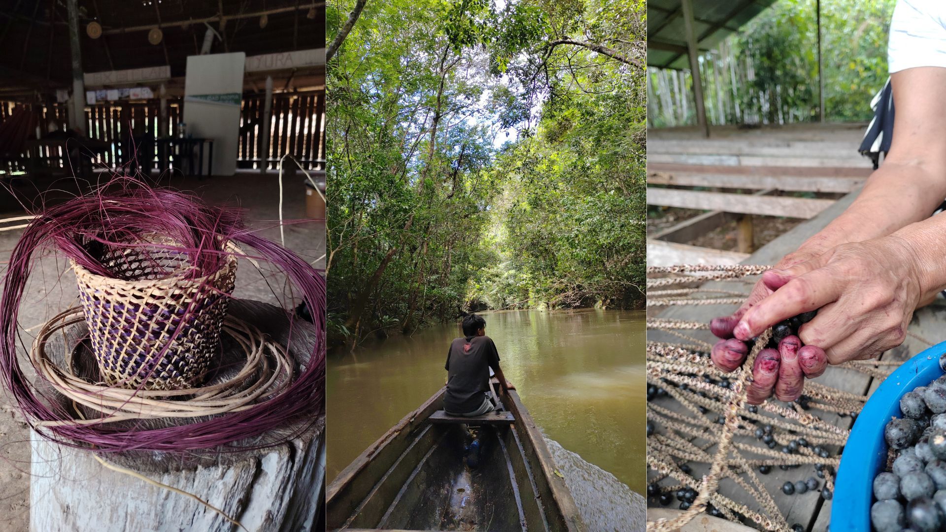 Senderismo, recorridos fluviales, recolección de frutas, visitas a cultivos en La Chorrera