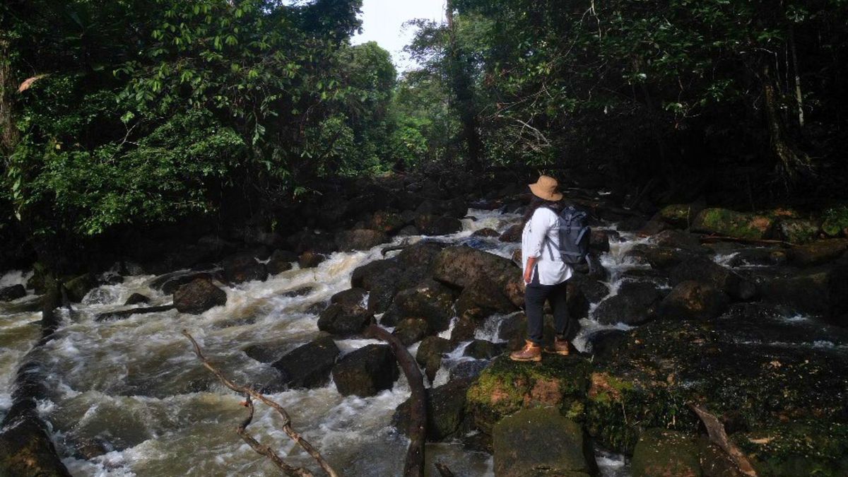 La Chorrera, el destino del Amazonas que revive la historia de la Casa Arana