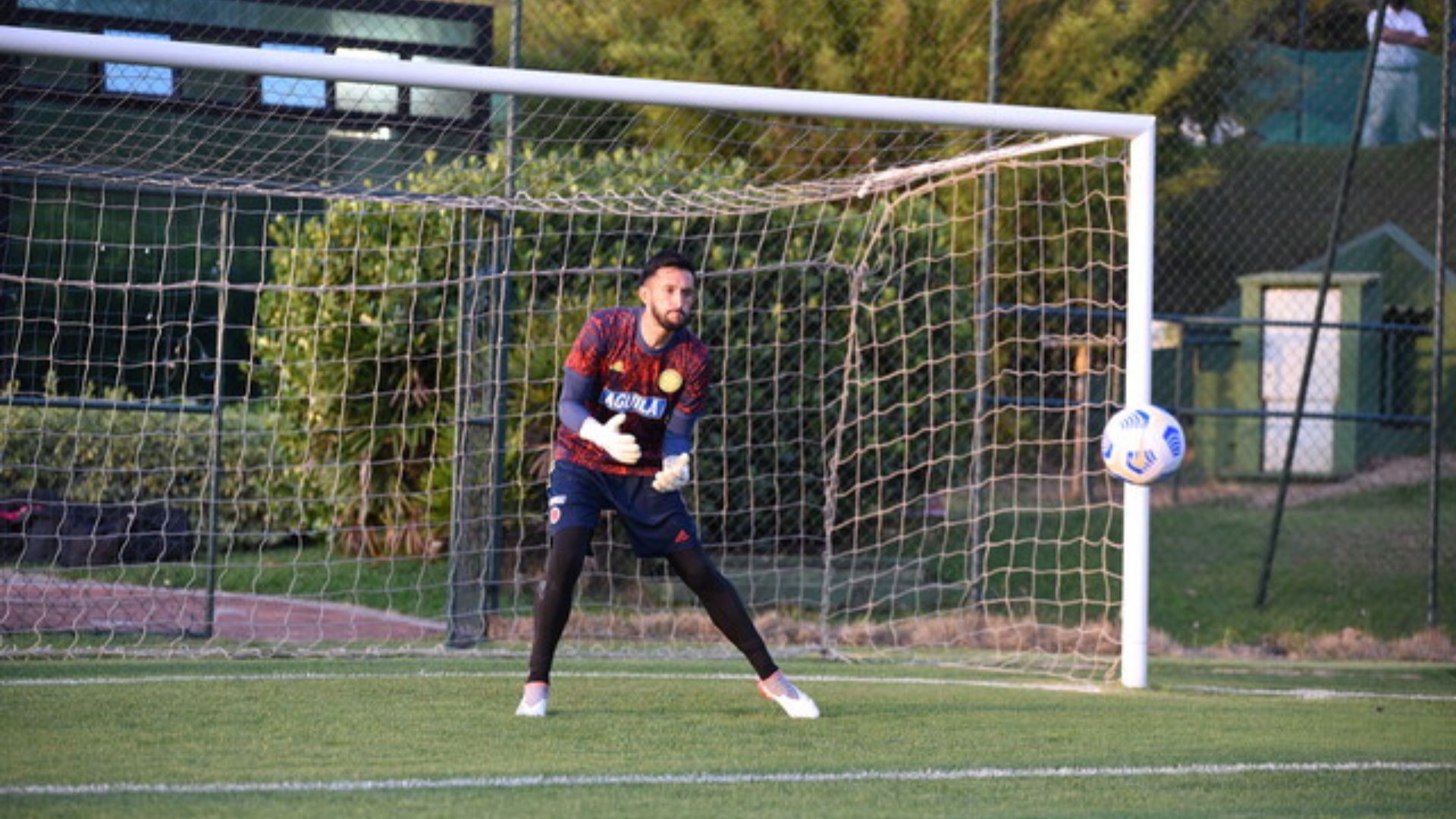 Camilo Vargas es el arquero titular de la Selección Colombia.