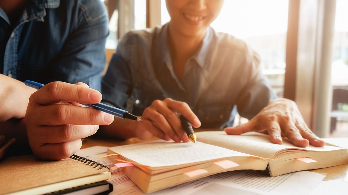 Los interesados pueden aplicar en áreas específicas.