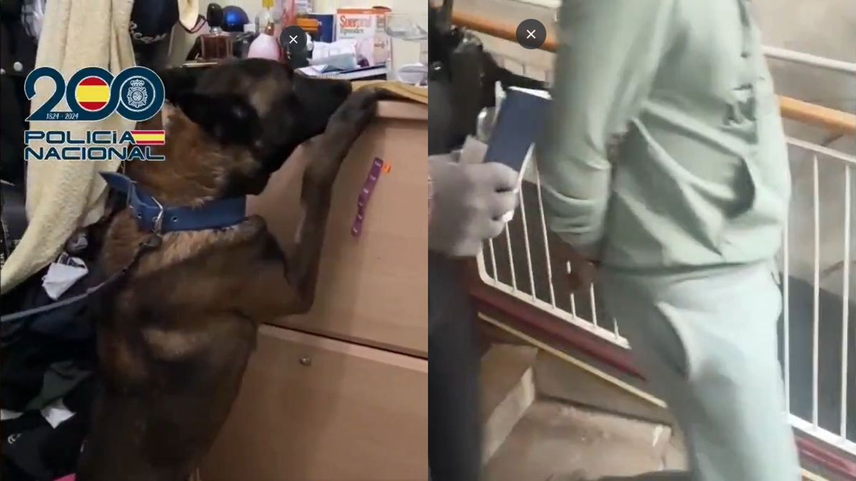 Policía España desmantela banda documentos ilegales colombianos