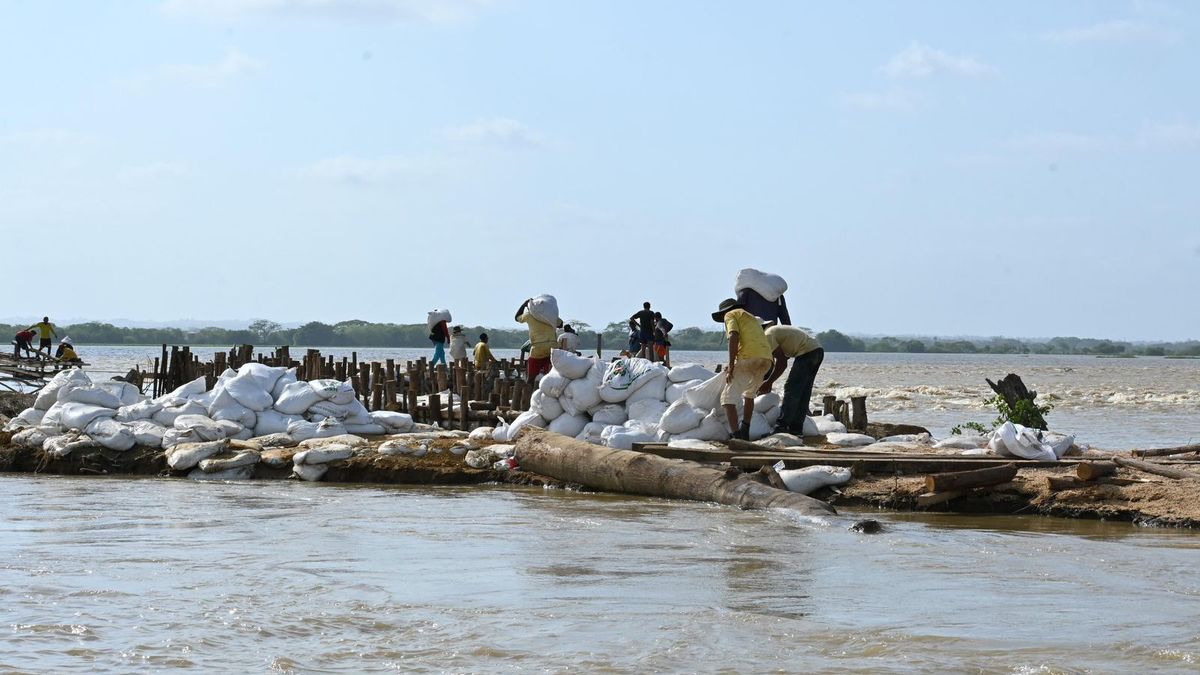 Comunidad construyó un jarillón