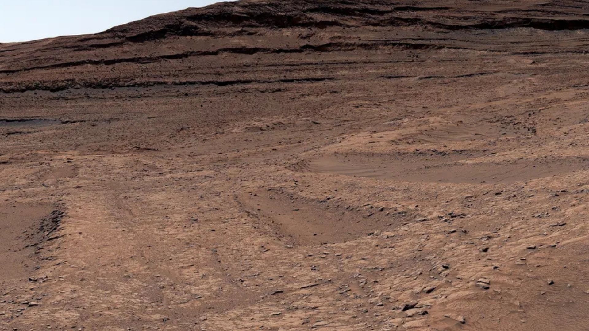 Las telarañas en Marte son la marca de que existió agua en Marte.