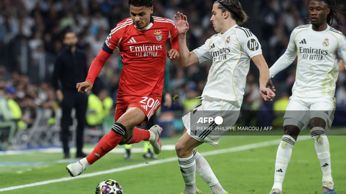 El Real Madrid y el Benfica disputaron un cerrado duelo para definir el paso a octavos de final.
