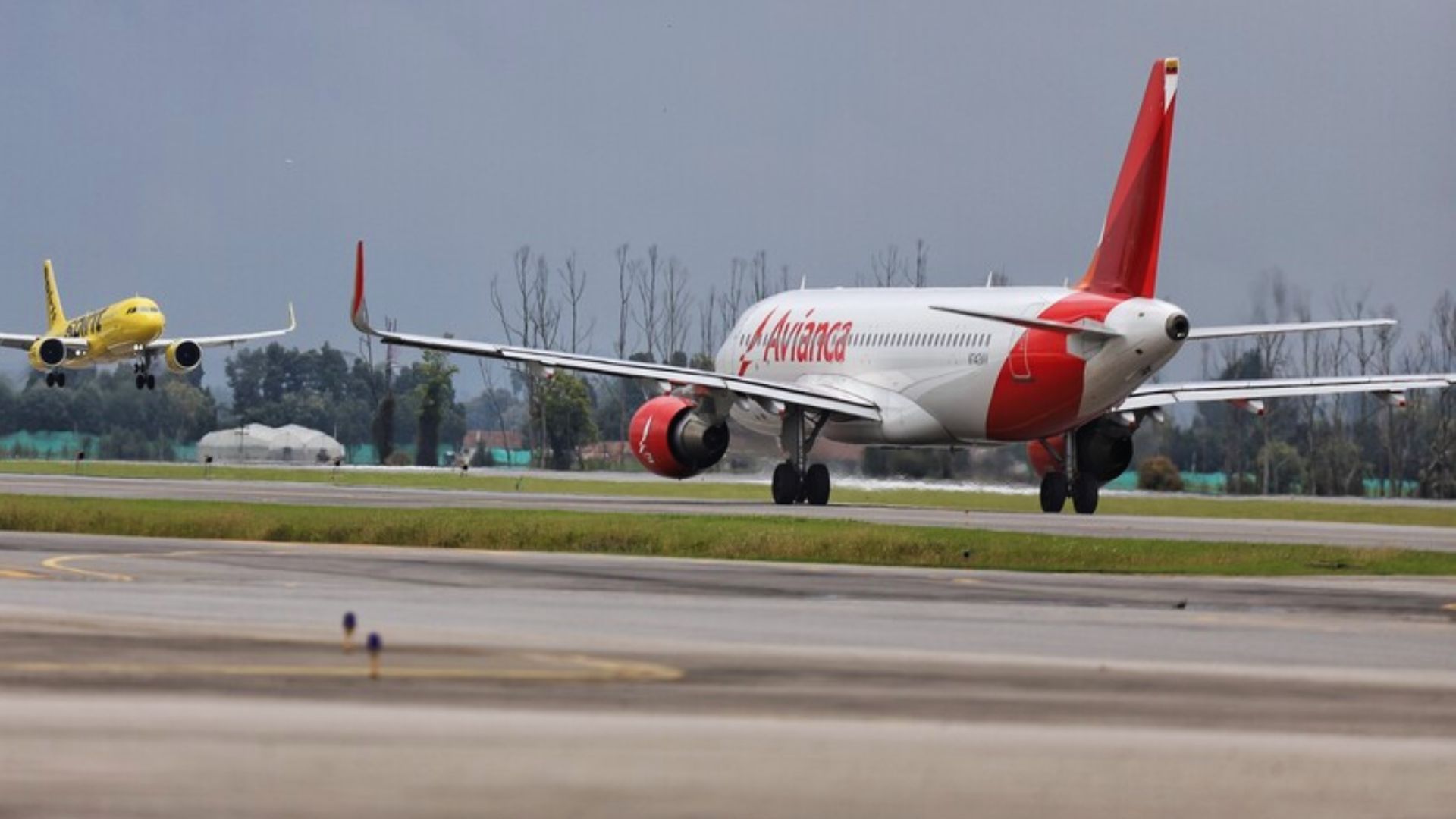 También se han implementado el check-in prioritario INSIGNIA by avianca y la renovación de las salas VIP Diamond en el Aeropuerto El Dorado.