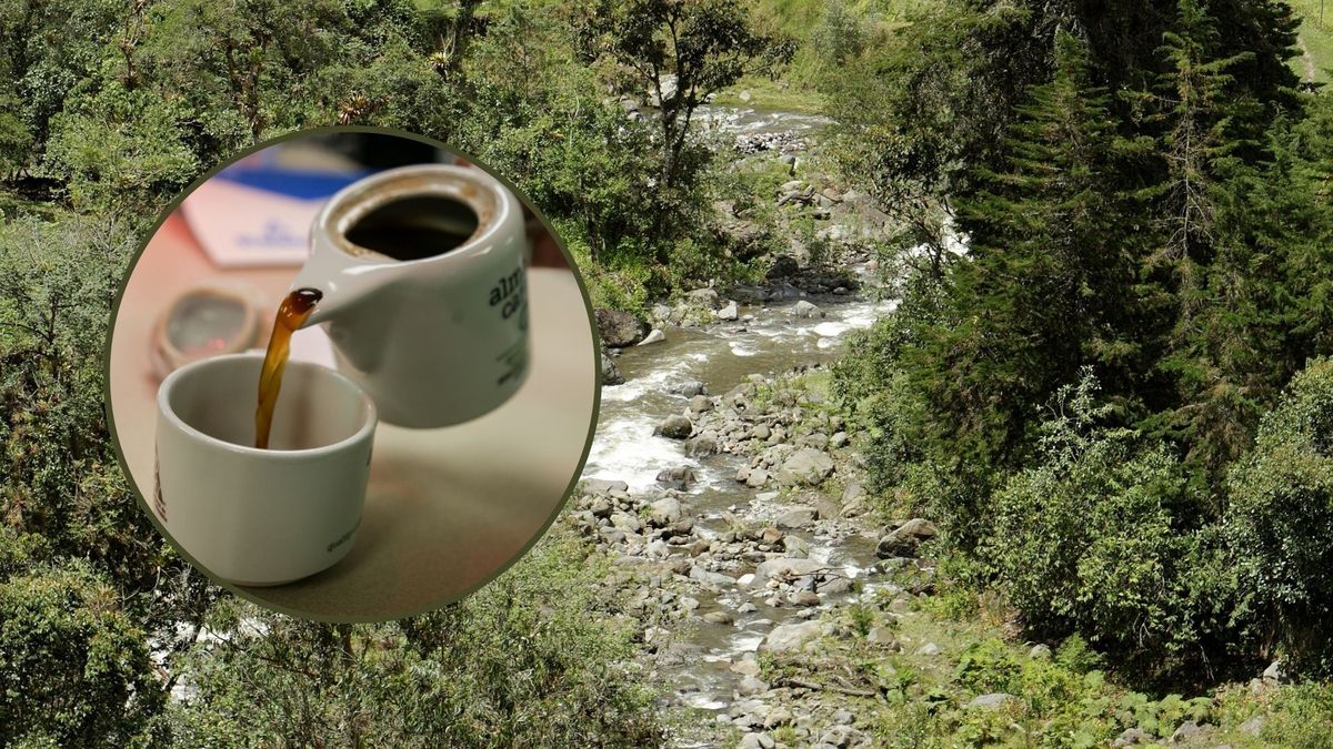 economia rural federacion cafeteros infraestructura de pais