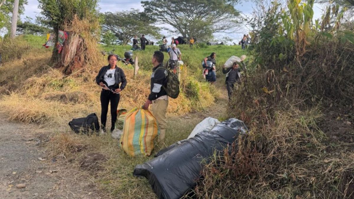 Campesinos del Quindío desalojan predio de la SEA, en protesta por acceso a tierras.
