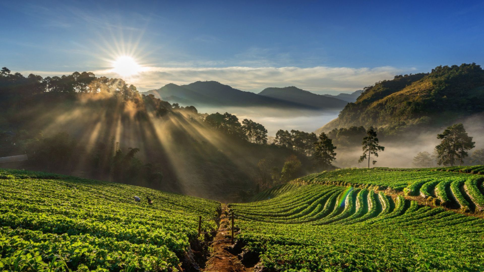 Otro de los destinos emblemáticos es la Laguna de Tota, reconocida por sus paisajes y por las actividades asociadas al turismo de naturaleza.