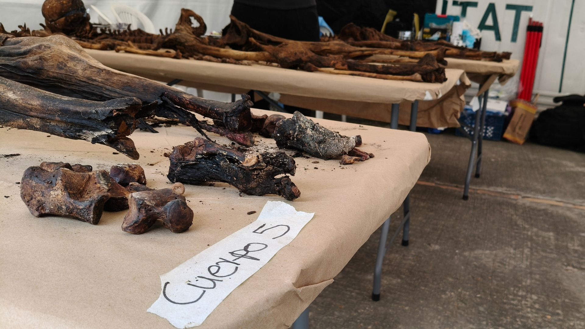 La Unidad de Búsqueda ha intervenido cuatro veces el Cementerio del Sur. En febrero de 2026 recuperó catorce cuerpos y avanzó en la identificación de seis de ellos.