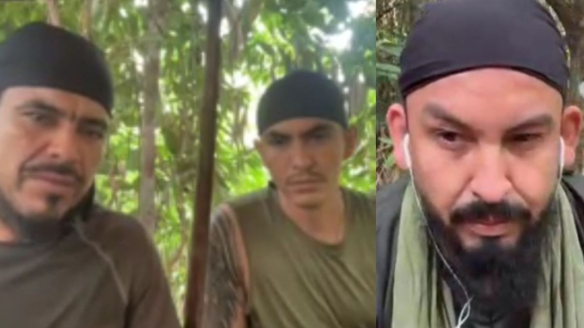 Cabecillas de disidencias de las Farc se conectaron desde la selva a audiencia de imputación.