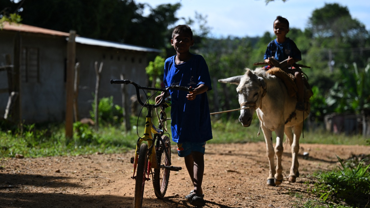 Reclutamiento de niños, niñas y adolescentes por grupos armados en Colombia.