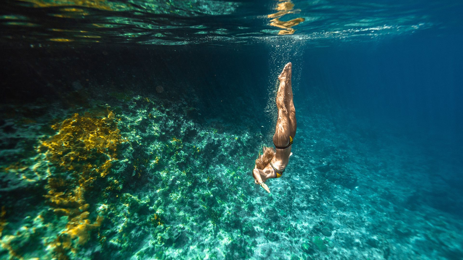 Actividades turísticas en Curazao