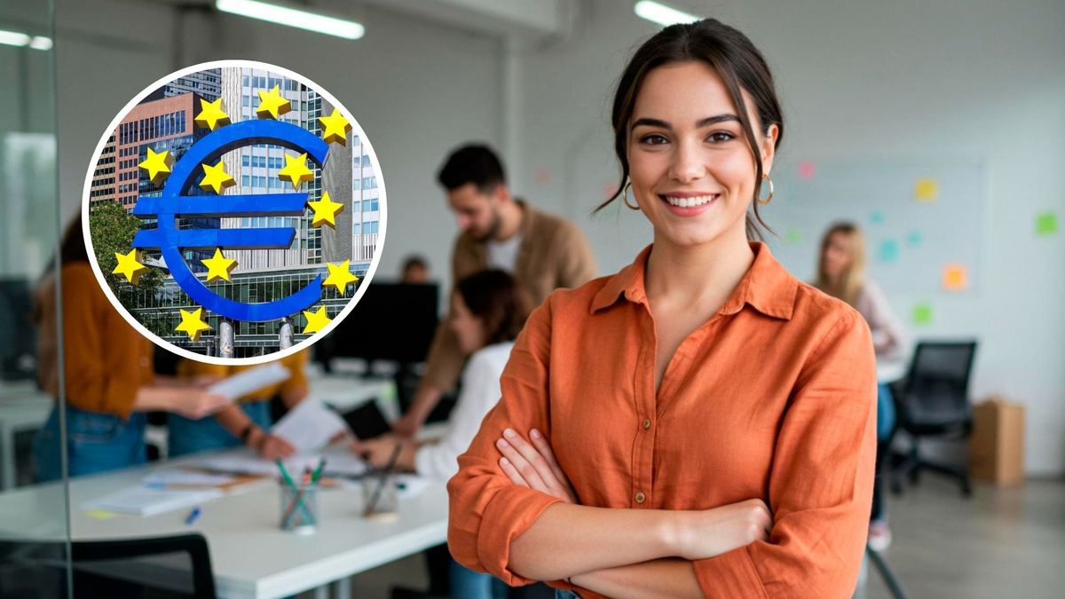 Cada convocatoria tiene requisitos sobre formación, experiencia y dominio de idiomas oficiales de la Unión Europea.