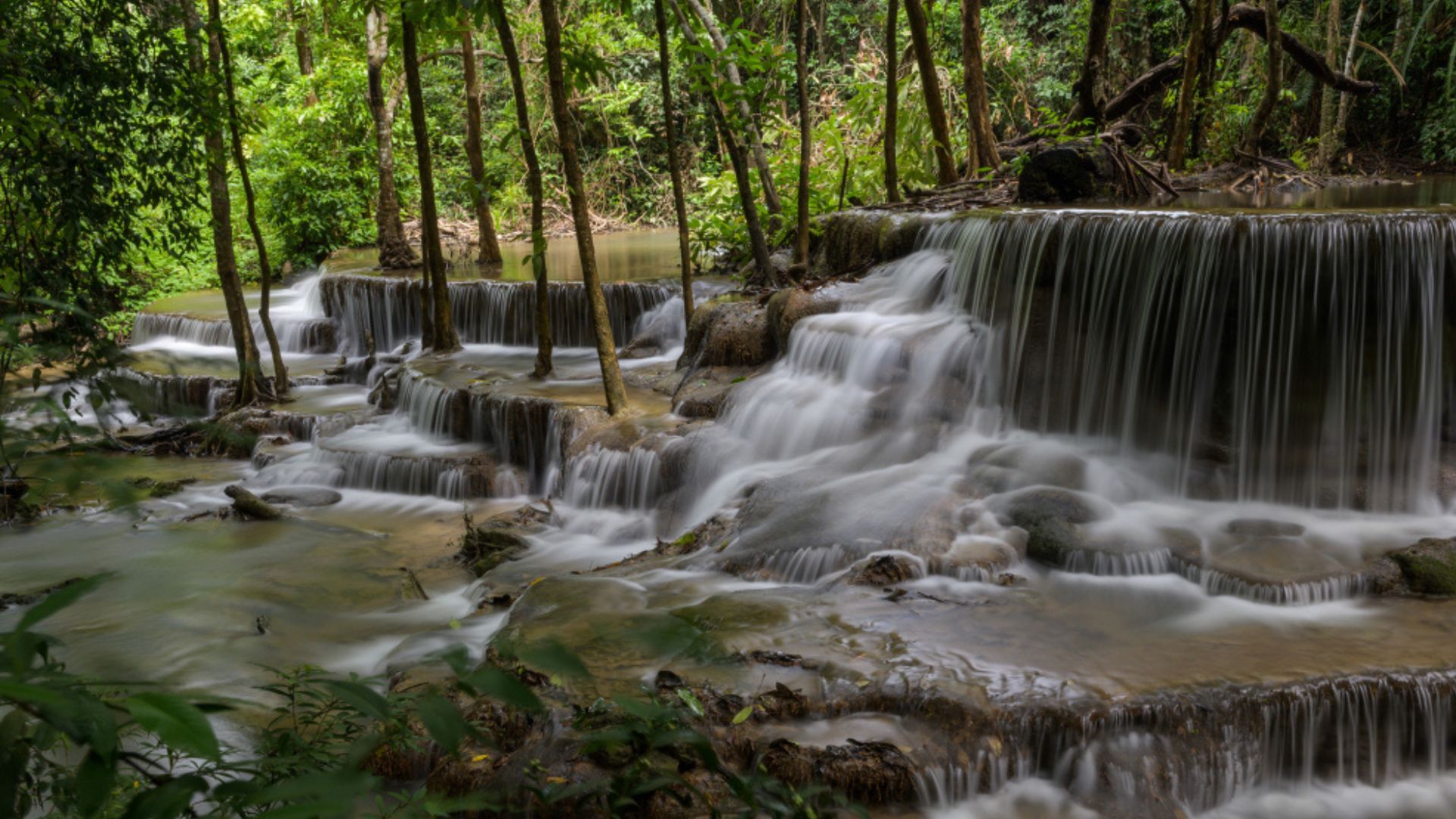 La presencia de neblina, junto con los árboles y la vegetación, hace que sea un ambiente de paz.