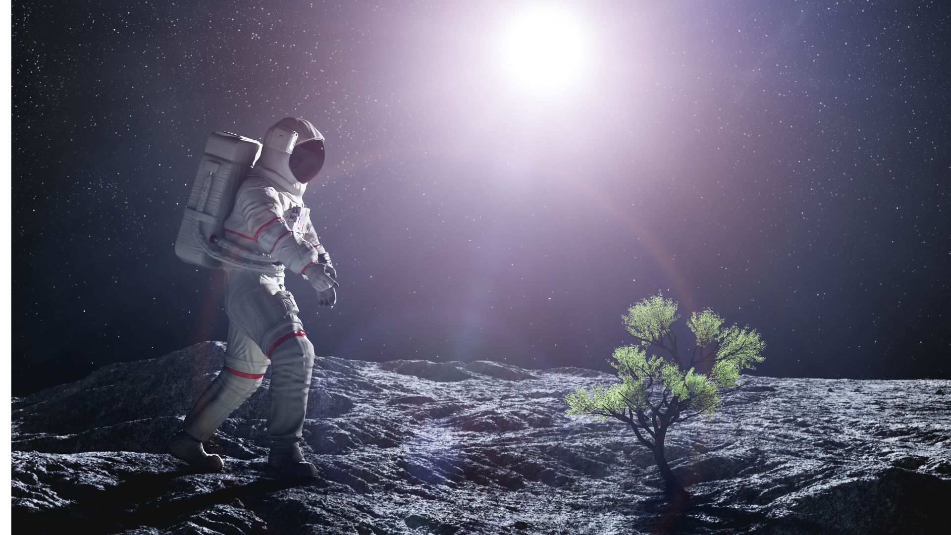 El ser humano podrá conocer si en el futuro puede plantar alimentos en el satélite.