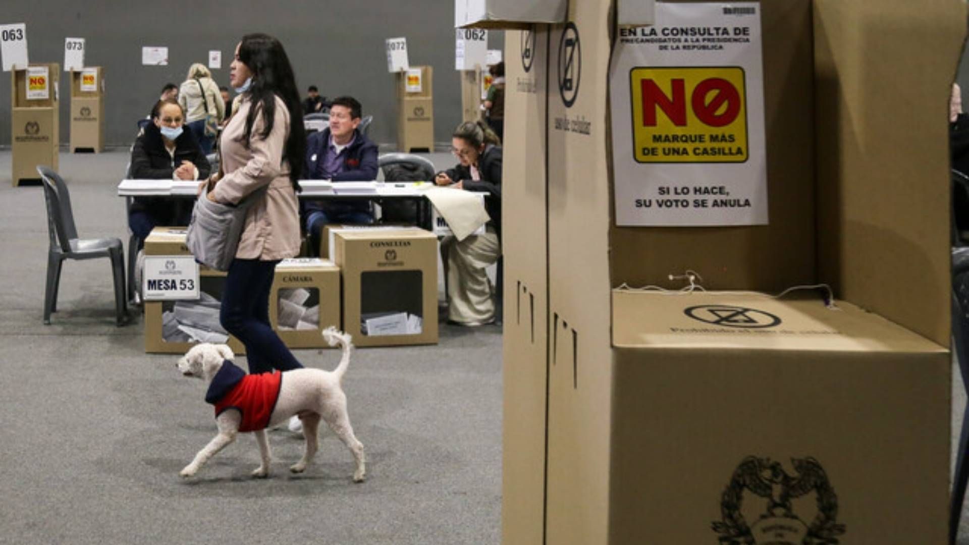 Quienes participaron en las elecciones pueden acceder a beneficios establecidos por ley.