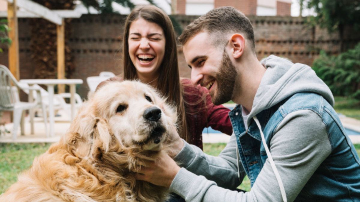 En la Ley también se puede evidenciar que hay responsabilidades para los propietarios o cuidadores de animales de compañía, especialmente en situaciones como los viajes al extranjero.
