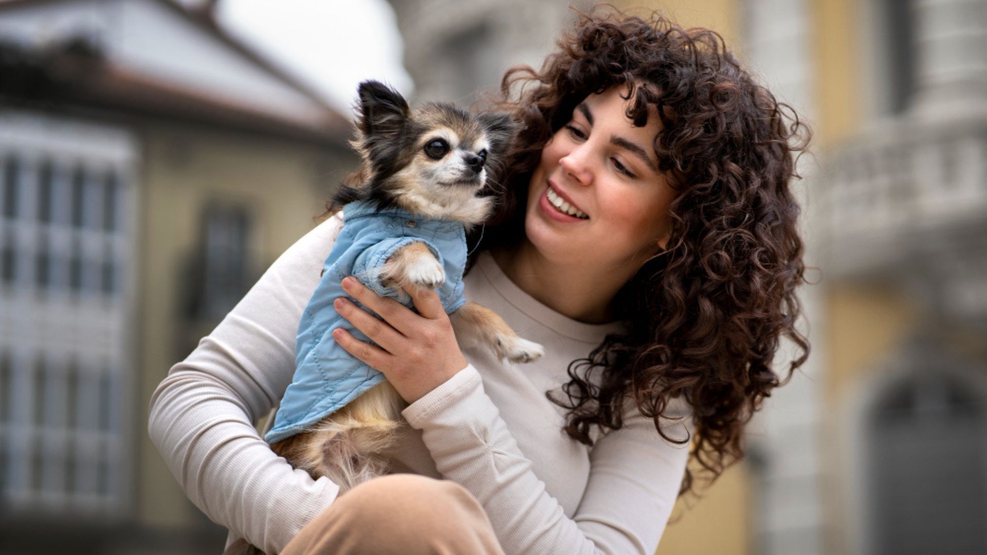 Una vez verificada esta información, el siguiente paso es contactar a un médico veterinario zootecnista registrado ante la entidad.