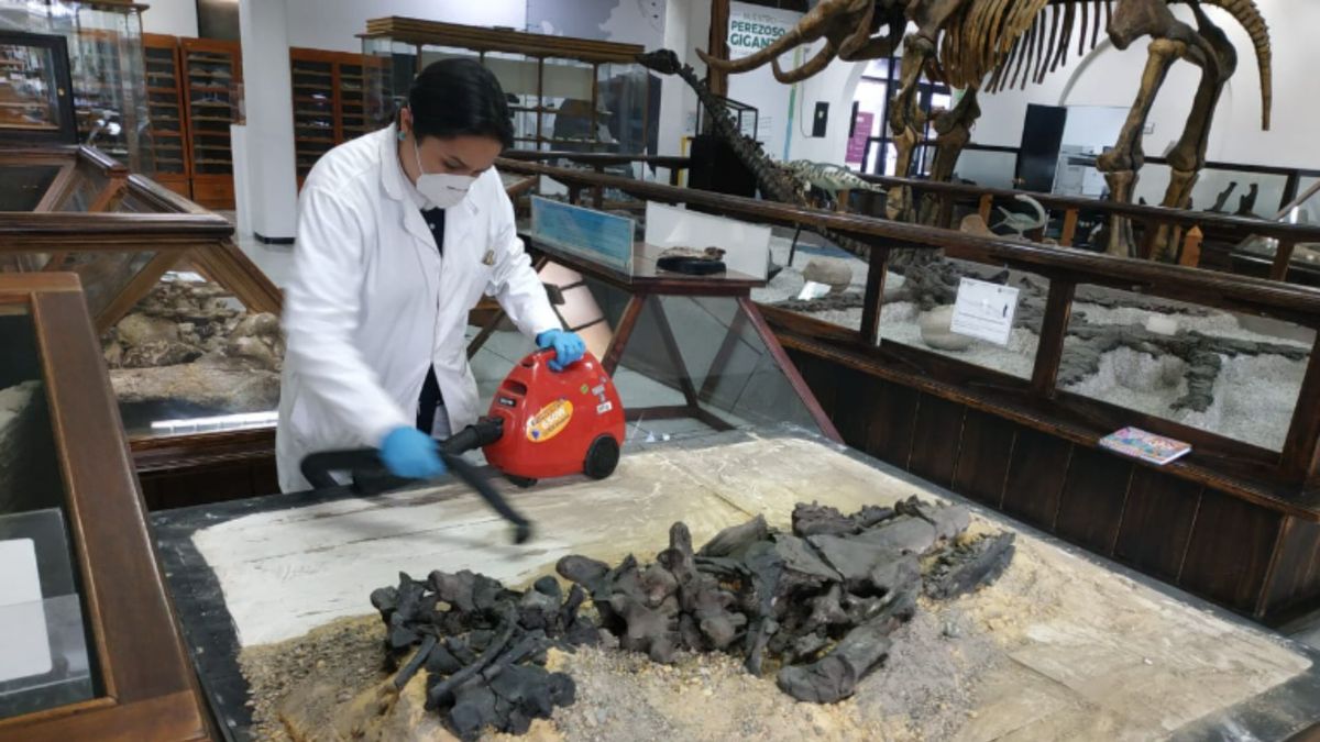 La exposición se realizará entre abril y mayo de 2025.