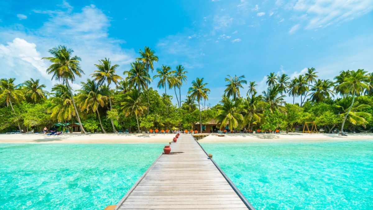 Desde la costa se puede ver cómo la isla está cubierta por vegetación. Como se puede llegar en barco en corto tiempo, la isla en visitada frecuentemente.