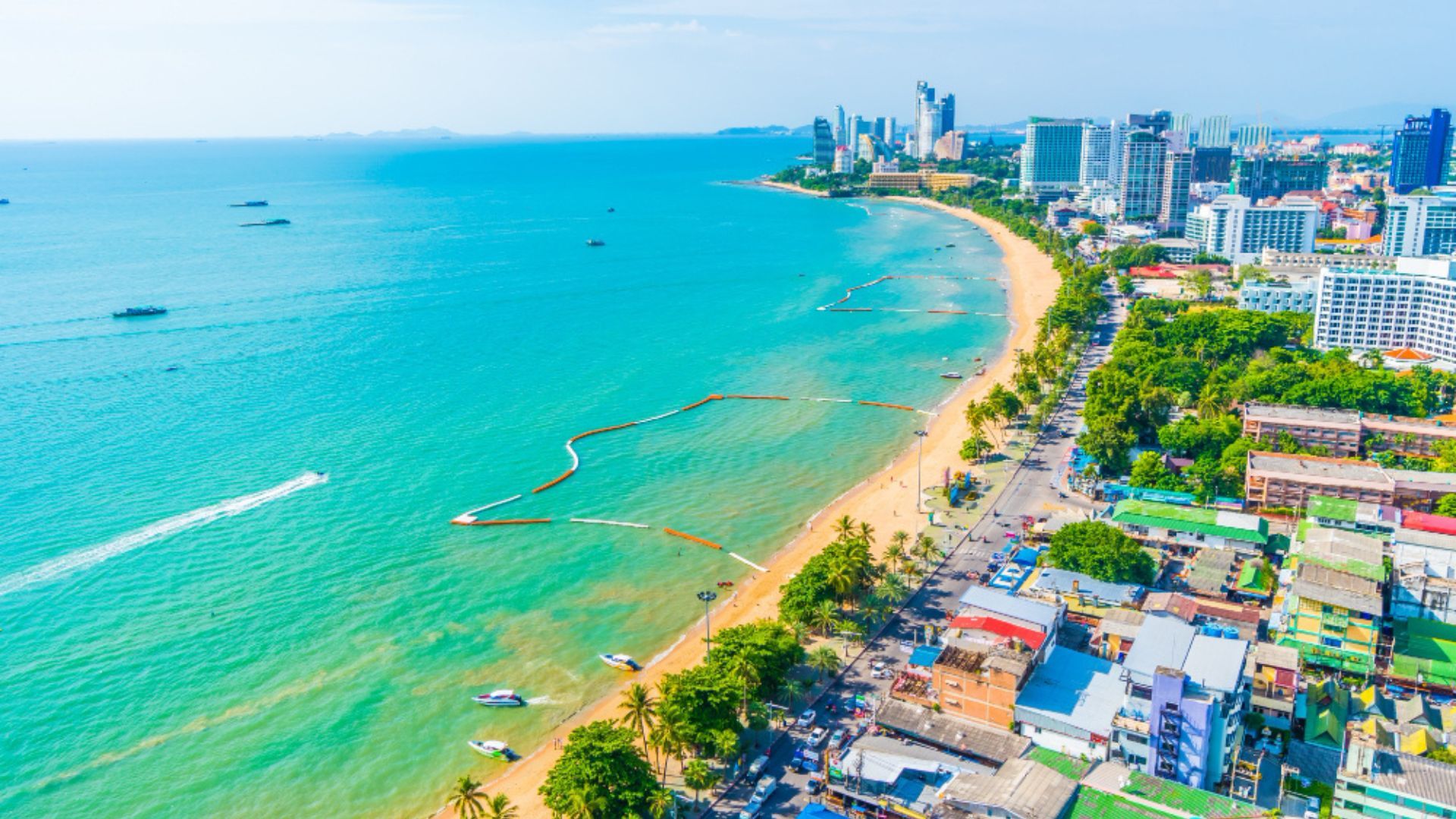 En algunos tramos, la cantidad de cangrejos es tan grande que el suelo parece moverse, mientras los animales avanzan lentamente hacia la costa.