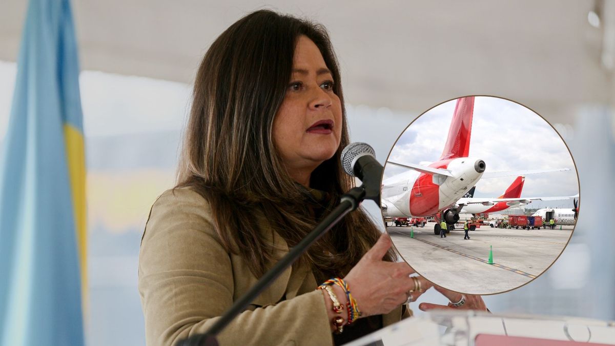 mintransporte consejo seguridad aeropuerto el dorado regiotram