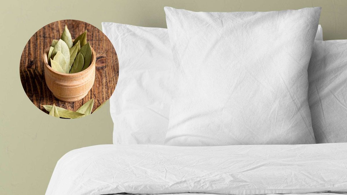 Colocar hoja de laurel bajo la almohada es un ritual difundido en contenidos de Feng Shui sobre descanso y reflexión personal.