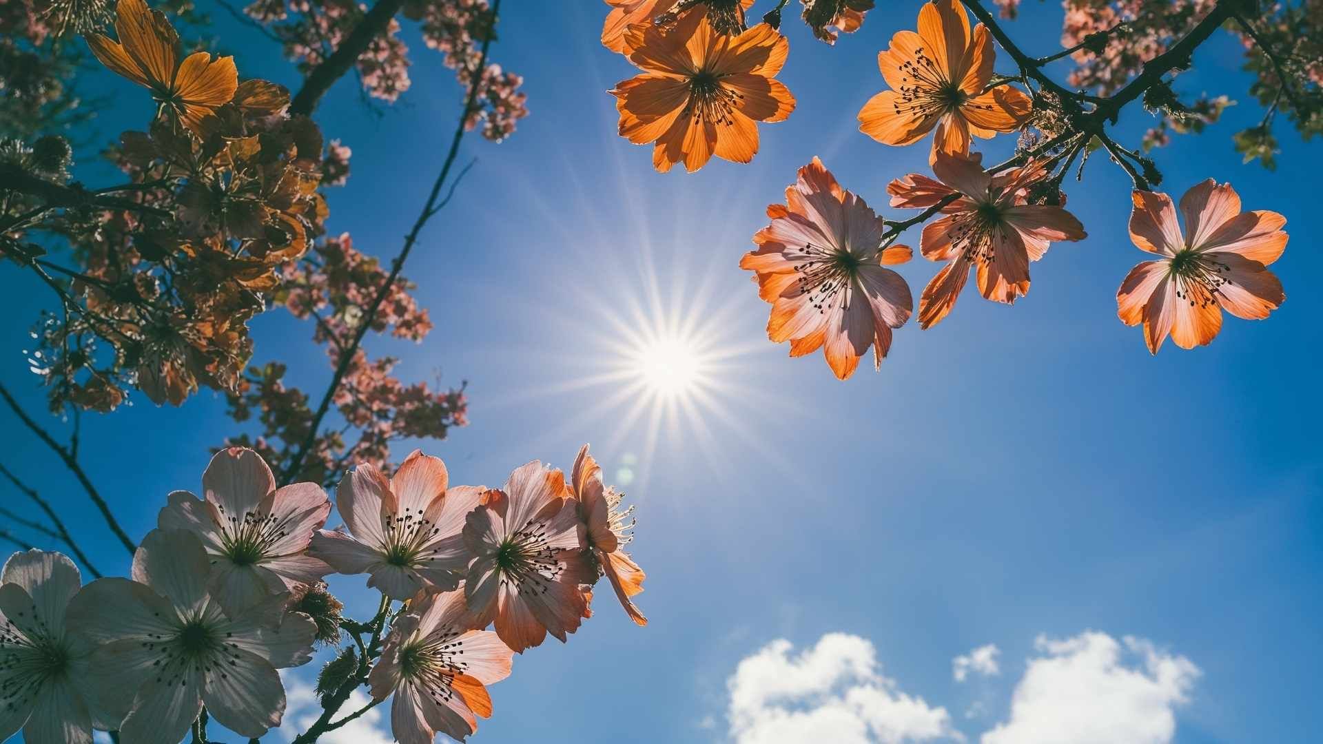 El fenómeno marca el inicio de la primavera astronómica en el hemisferio norte y del otoño en el hemisferio sur.