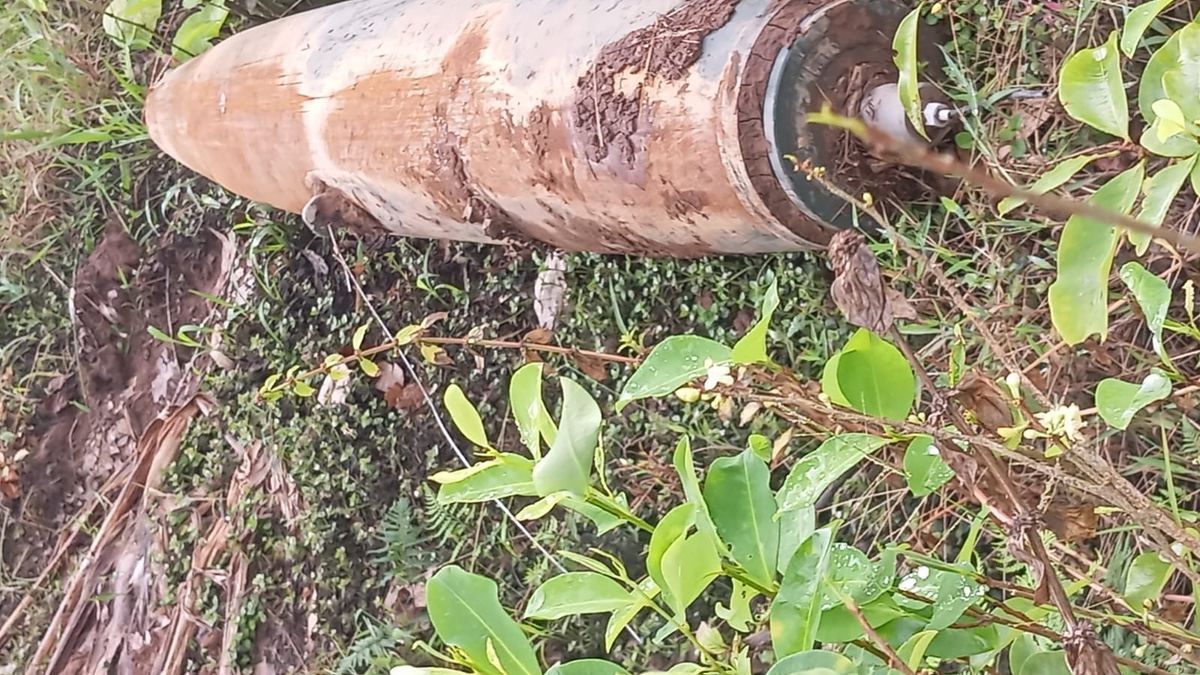 Bomba hallada en la zona de frontera con Ecuador.