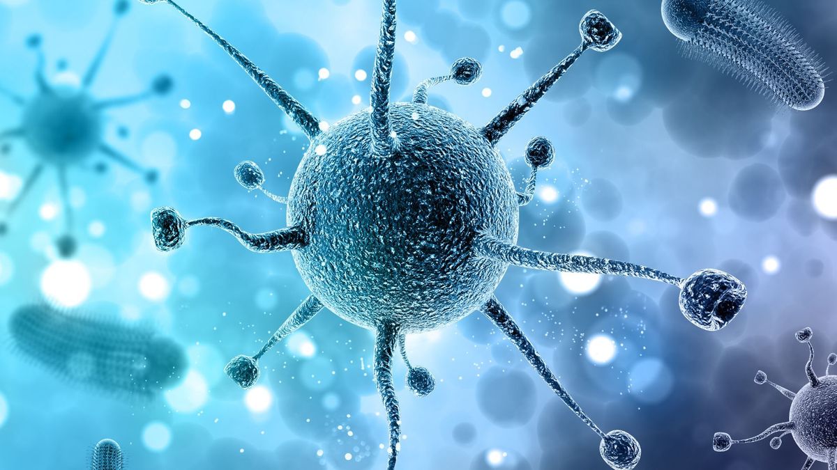 Los científicos continuarán investigando con la bacteria.