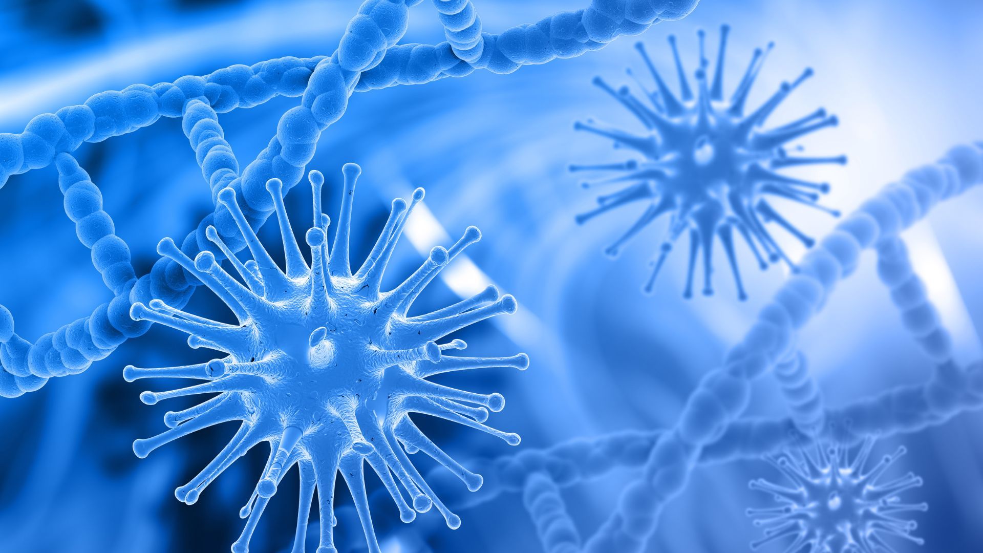 La bacteria fue insertada en ratones con cáncer para conocer su viabilidad.