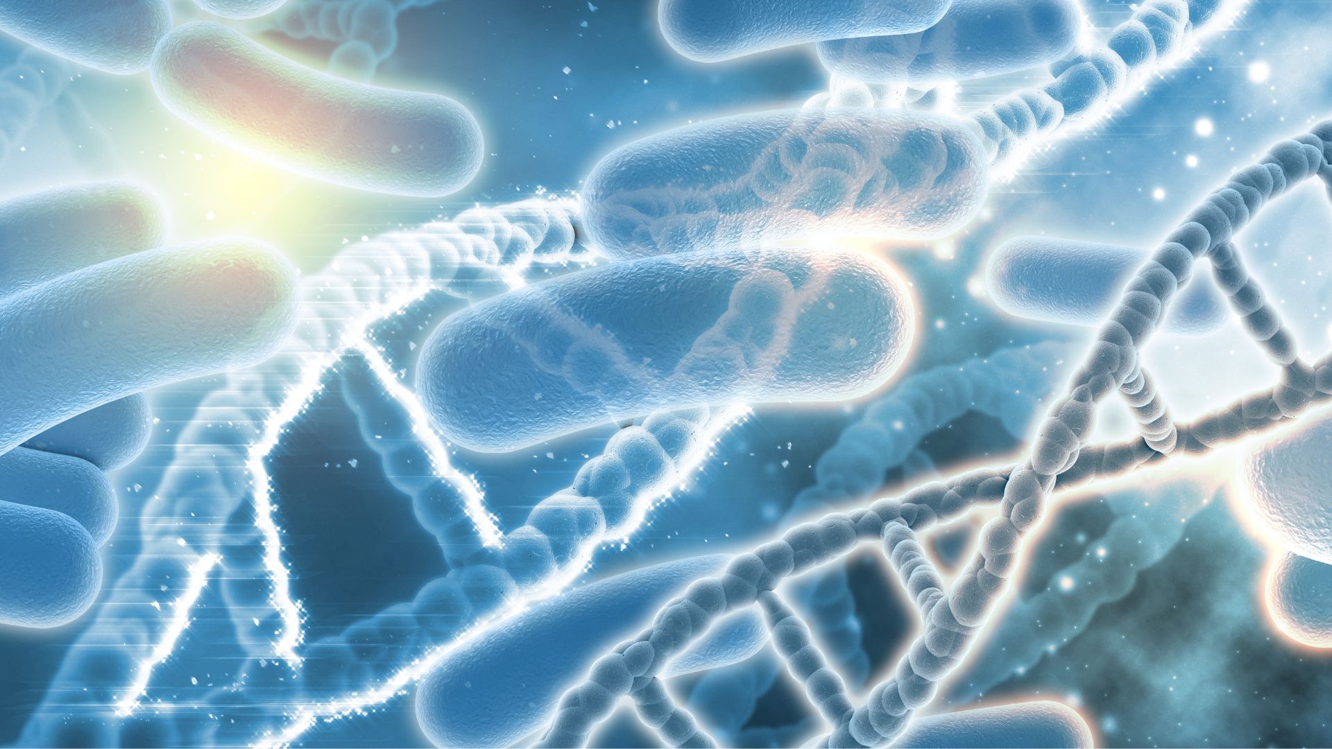 Los científicos modificaron la bacteria para saber si era viable.