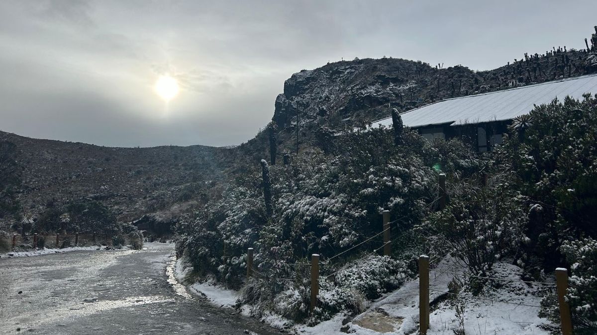 Parque Nacional Natural Los Nevados