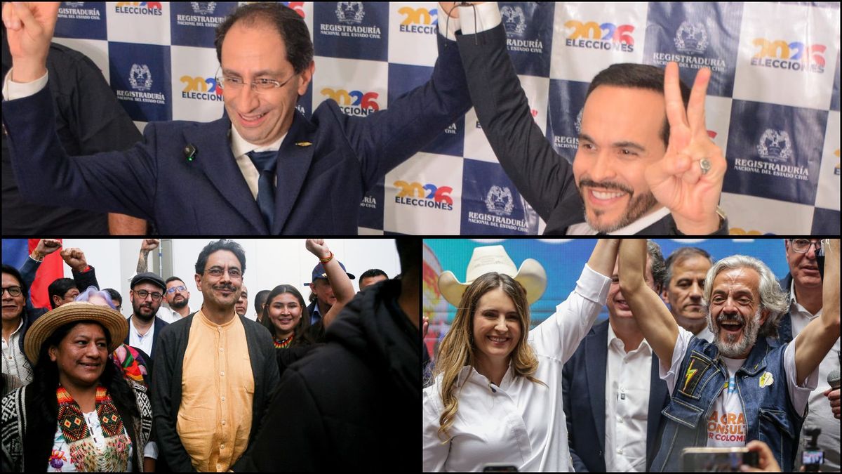 formula vicepresidencial elecciones 2026 rol relevancia
