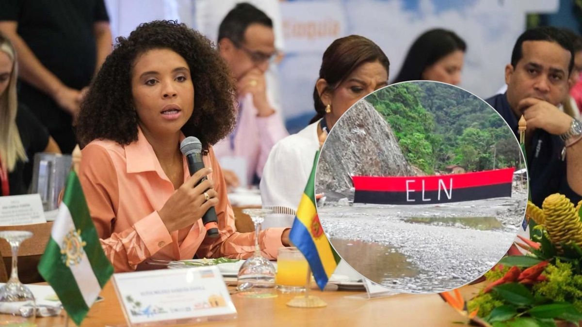 choco bajo baudo eln paro armado crisis humanitaria clan del golfo