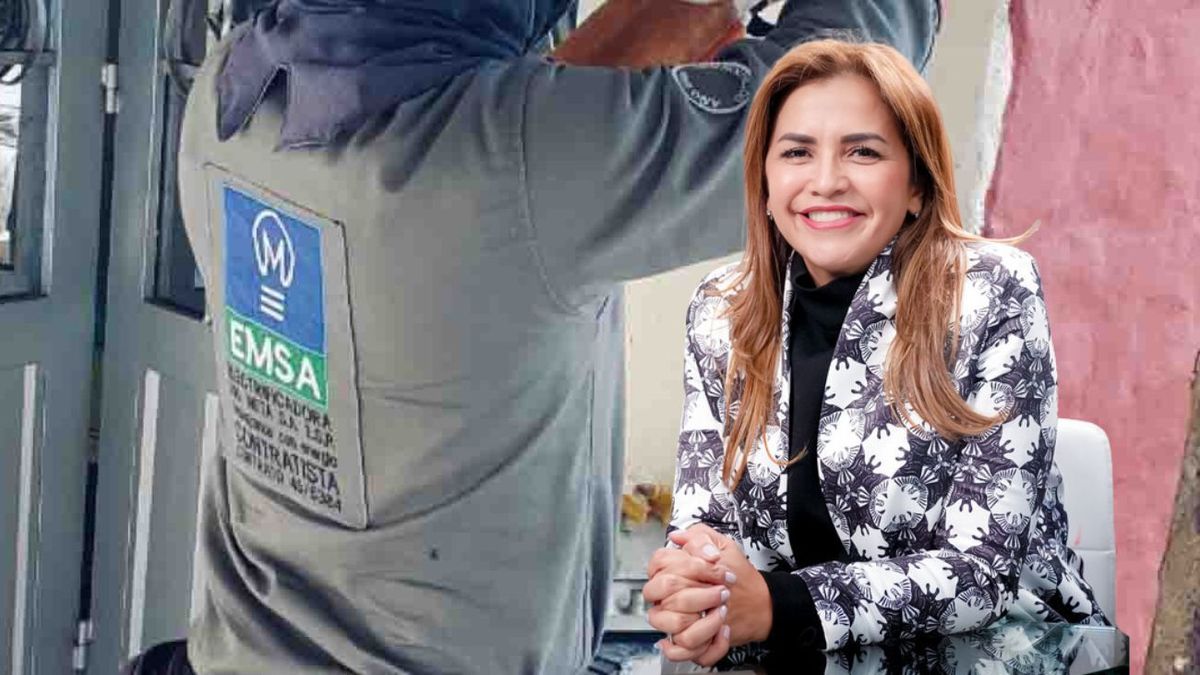 Rafaela Cortés alerta por reforma en la electrificadora del Meta