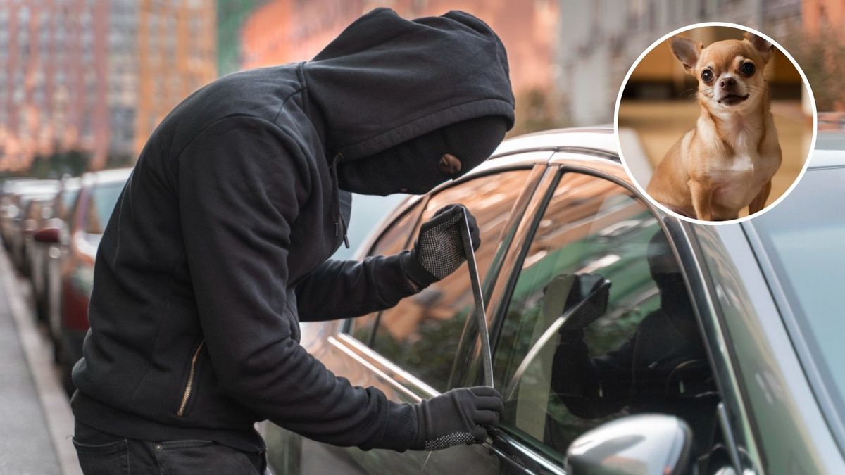 Las cámaras de seguridad muestran cómo se acercan los ladrones a la reja donde estaban las maletas de los jugadores.