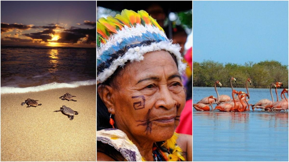 Entre los destinos recomendados se encuentran, Acandí, el Amazonas y La Guajira, lugares destacados por su riqueza natural y cultural.