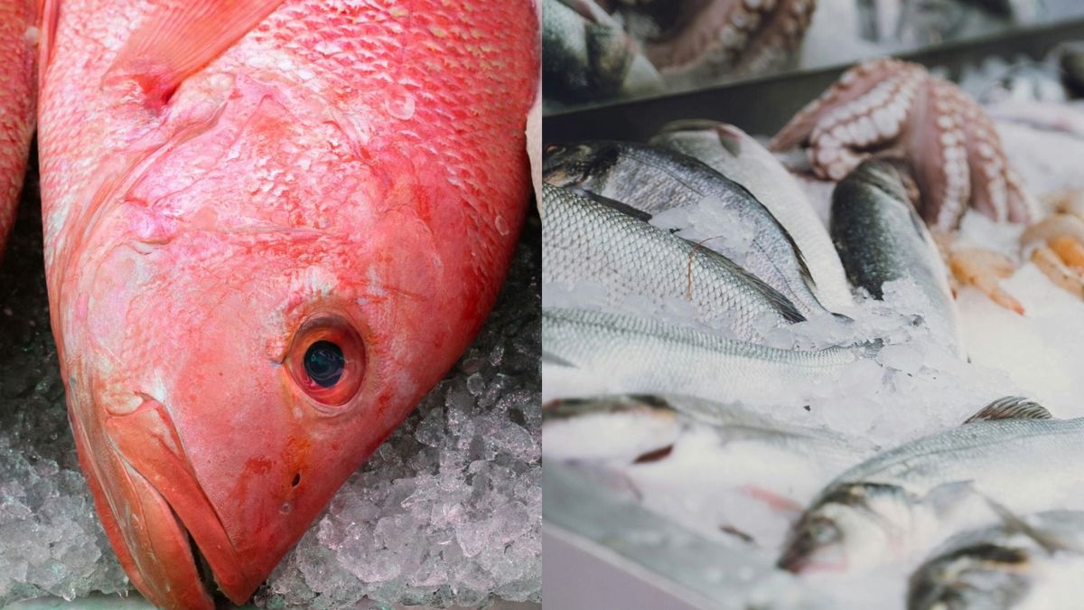 ¡Alerta en Semana Santa! Autoridades del Atlántico refuerzan controles para evitar intoxicaciones por consumo de pescado