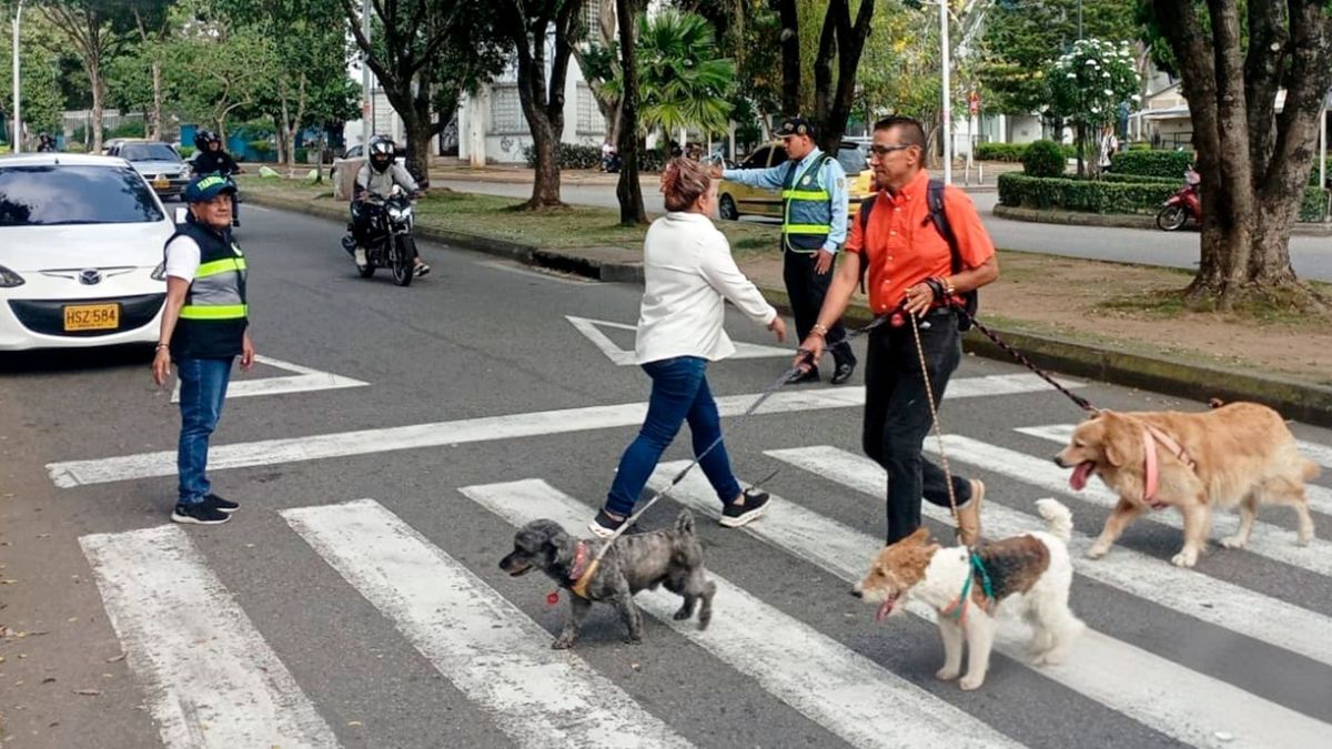 Tránsito Bucaramanga