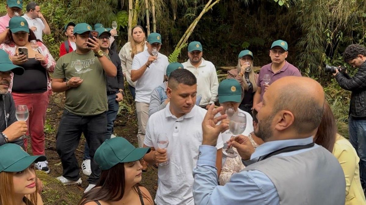 Turismo natural de bosque húmedo