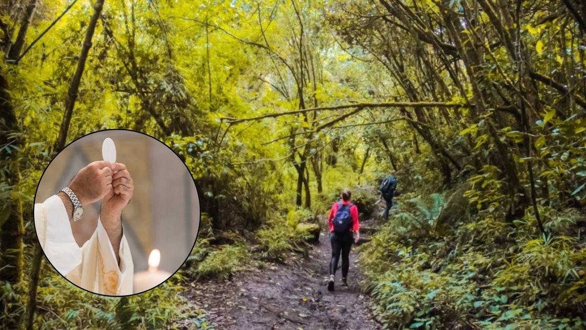 Los capitalinos podrán gozar de una agenda cultural y social para los días santos en Bogotá.