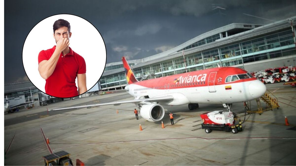 El influenciador podría enfrentar medidas legales.